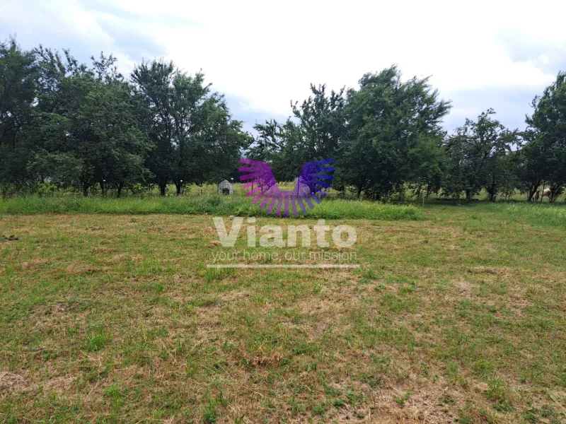 Teren intravilat| Zona rezidentila 1156 mp-TURNISOR