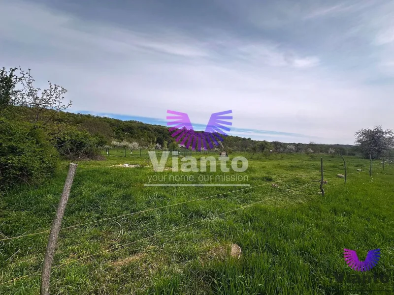 Oportunitate teren intravilan - 550mp-sibiel