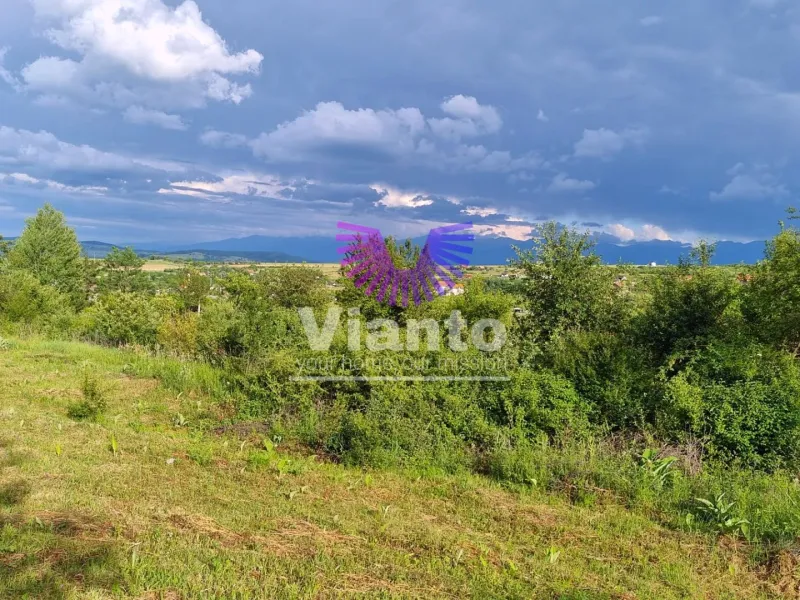 Teren Intravilan 1000mp-Zona Daia