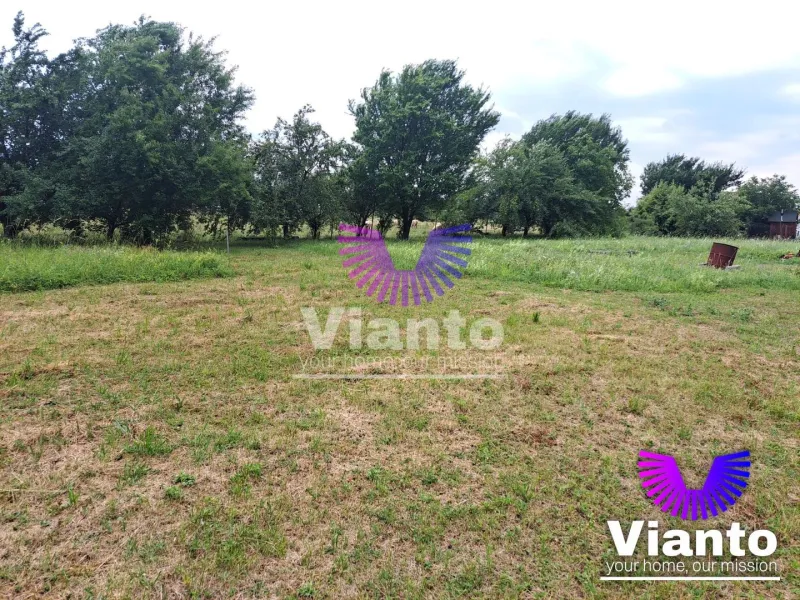 Teren intravilat| Zona rezidentila 1156 mp-TURNISOR