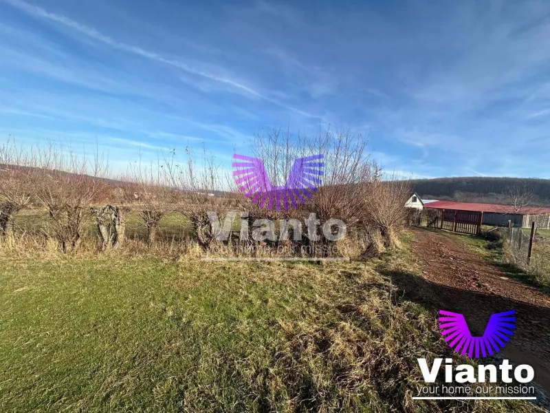 Teren intravilan 500 mp in Rasinari