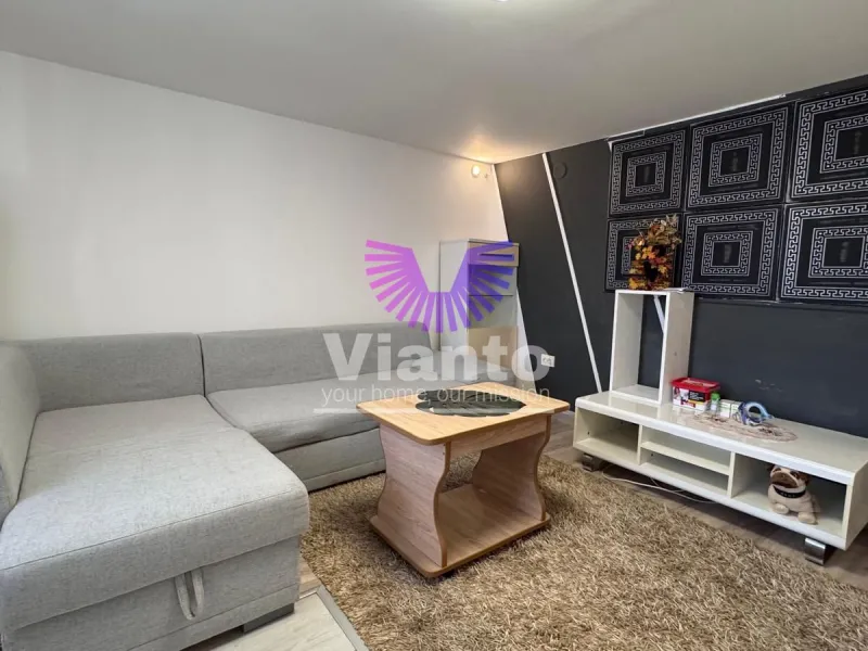 Casa Individuala de Inchiriat 5 Camere - Curte cu Zona de Barbeque-Gusterita