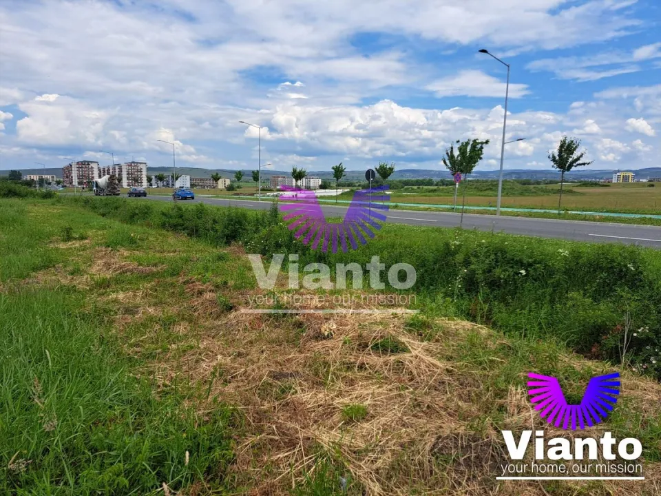 Investment opportunity Building plot 9000sqm - Turnișor