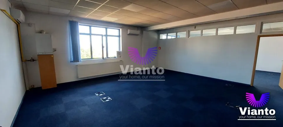 Gewerbefläche zu vermieten 240 m² Calea Dumbrăvii
