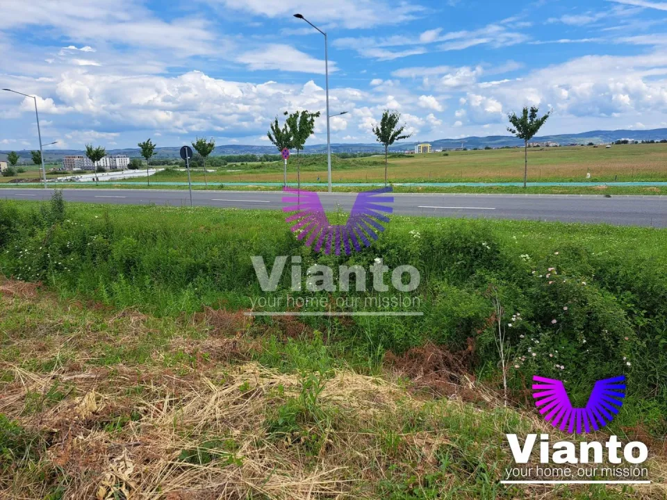 Investment opportunity Building plot 9000sqm - Turnișor