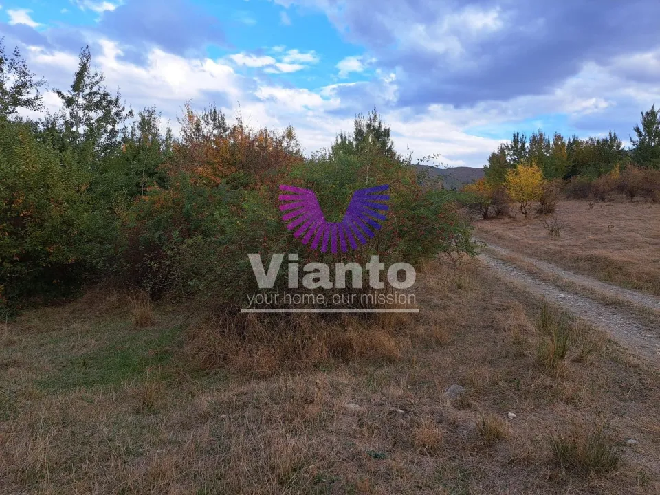 TEREN INTRAVILAN 1000MP- CISNADIOARA