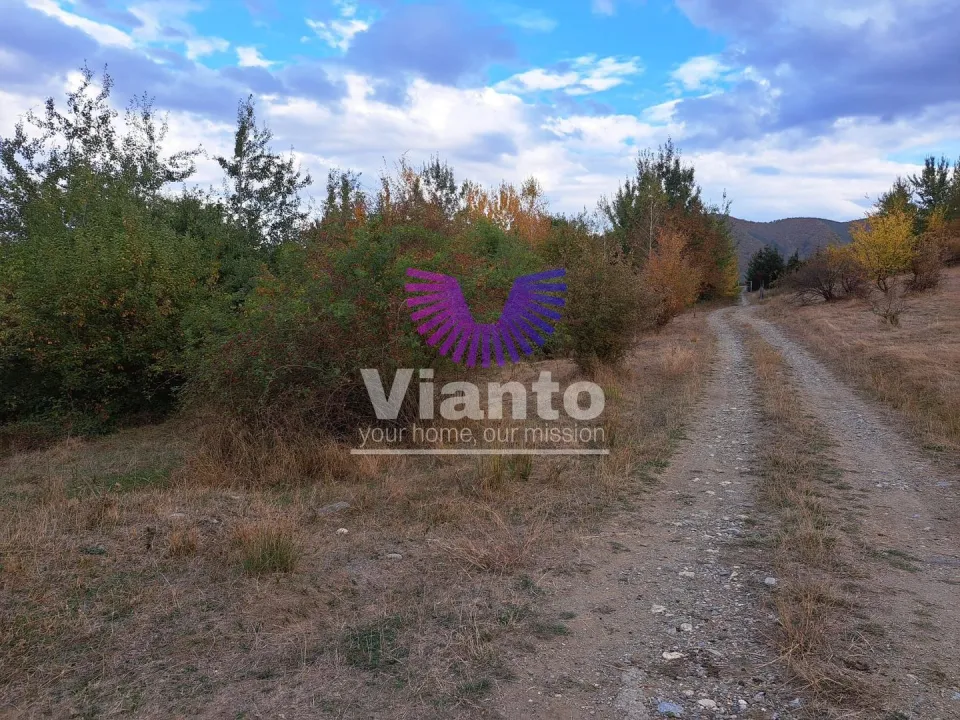 TEREN INTRAVILAN 1000MP- CISNADIOARA