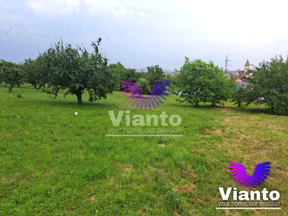 Teren intravilat| Zona rezidentila 1156 mp-TURNISOR