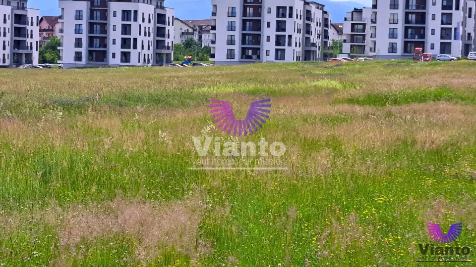 Bauland 2000 m² - Turnișor (Möglichkeit 5000 m²)