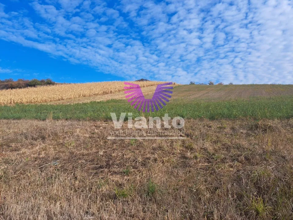 TEREN INTRAVILAN 700MP DESCHIDERE LA 2 DRUMURI- SURA MARE