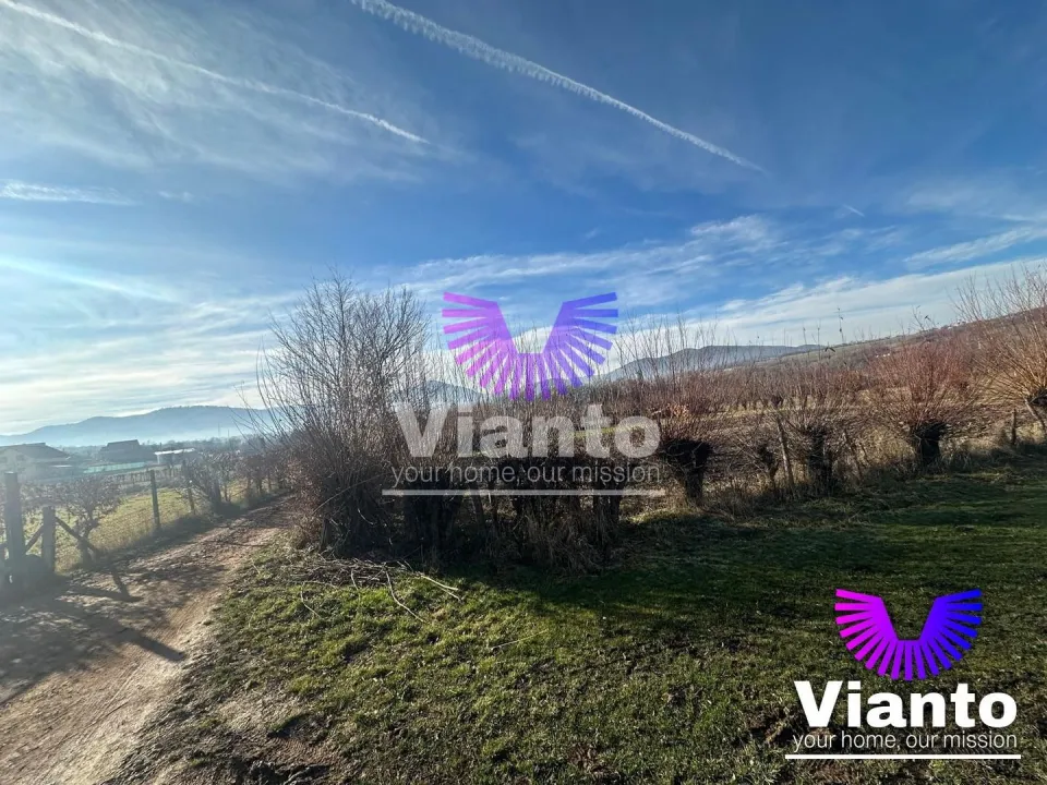 Teren intravilan 500 mp in Rasinari