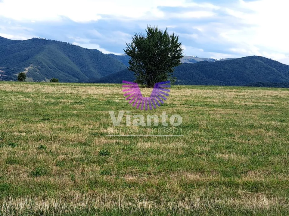 Gelegenheit - Außenbereichsfläche 6200 m² mit Panoramablick - Tropinii Noi - Rășinari