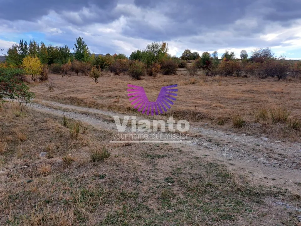 TEREN INTRAVILAN 1000MP- CISNADIOARA