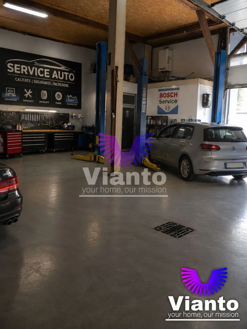Halle 120 m² zu vermieten, Calea Turnisorului