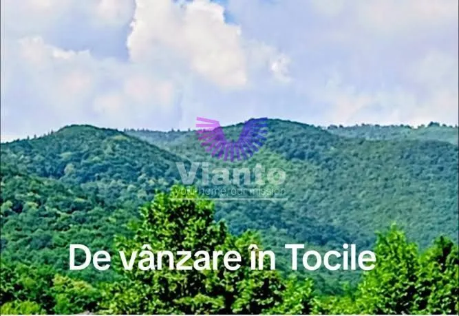 Casa de vanzare in Tocile