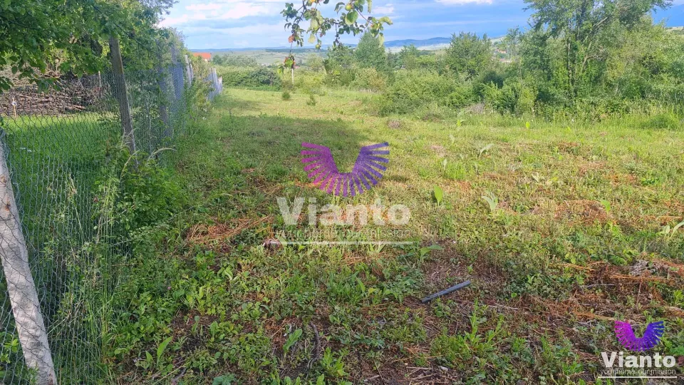 Teren Intravilan 1000mp-Zona Daia