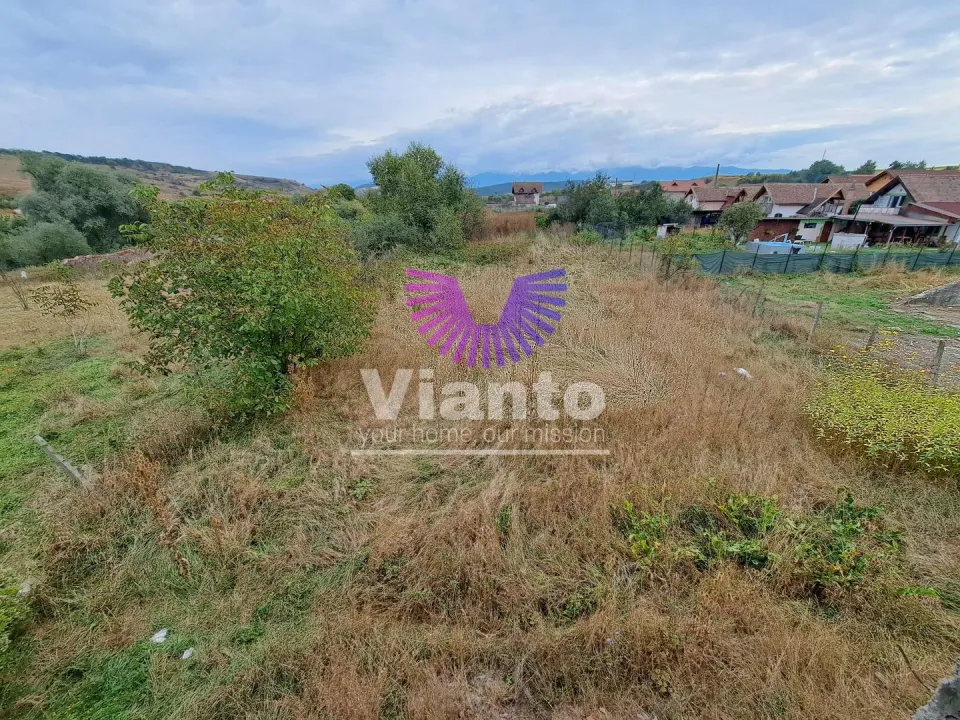 CASA 4 CAMERE 136 MPU SI TEREN 825MP IN DAIA