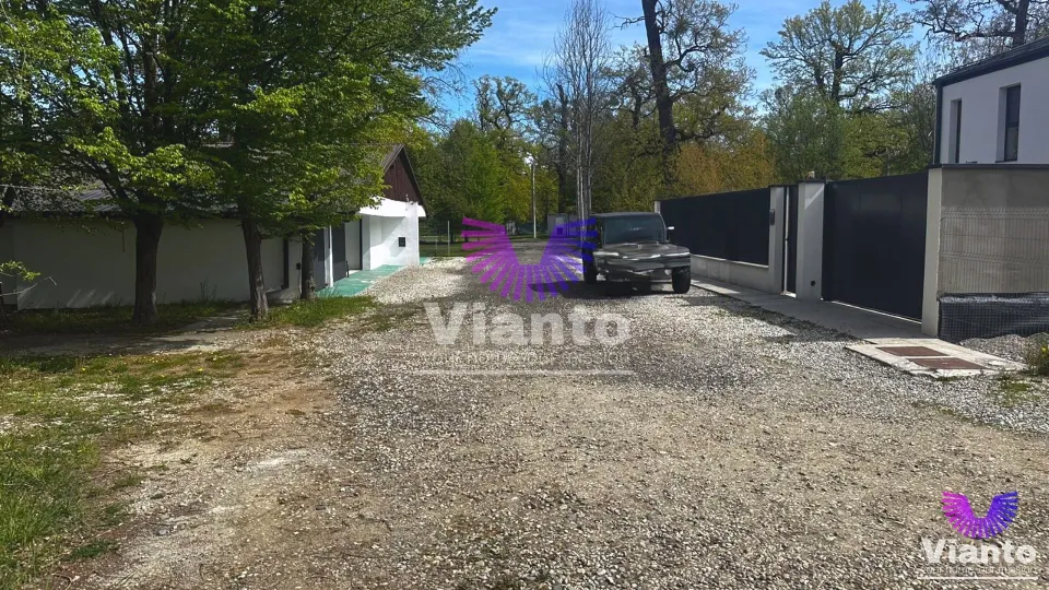 Bauland Premium 617 m² | Pădurea Dumbrava