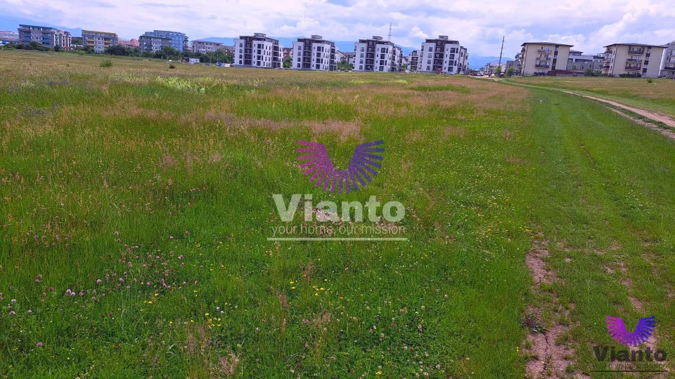 Bauland 2000 m² - Turnișor (Möglichkeit 5000 m²)
