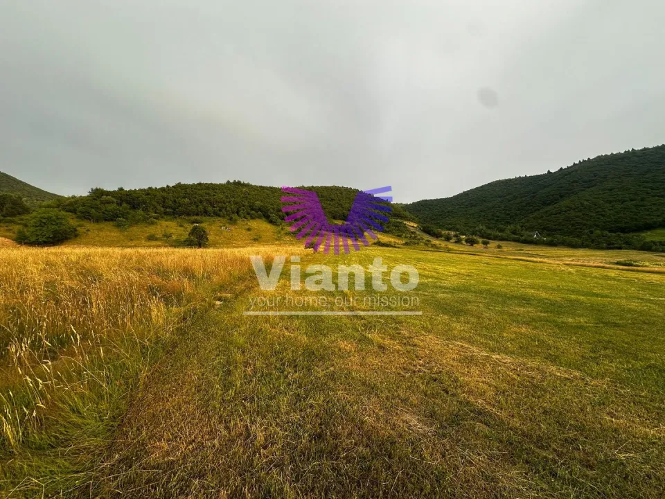 Investment Land Opportunity 3408 sqm in Gura Răului