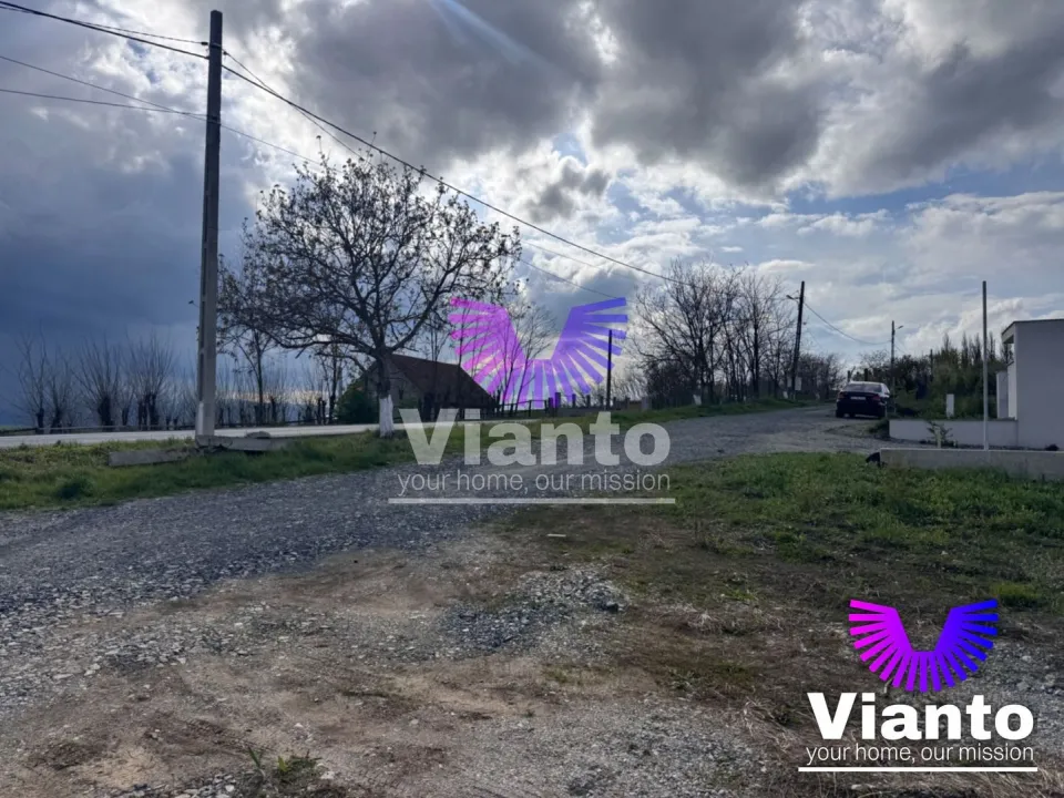 Comision 0% teren intravilan premium între 500 și 1.000 mp la drum județean | Daia Nouă