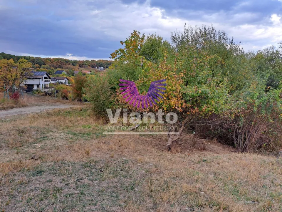TEREN INTRAVILAN 1000MP- CISNADIOARA