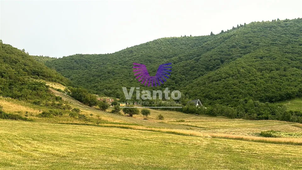 Investment Land Opportunity 3408 sqm in Gura Răului