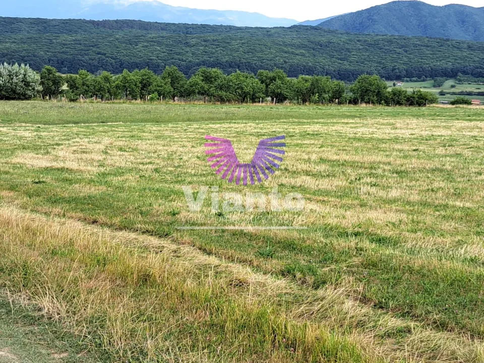 Gelegenheit - Außenbereichsfläche 6200 m² mit Panoramablick - Tropinii Noi - Rășinari