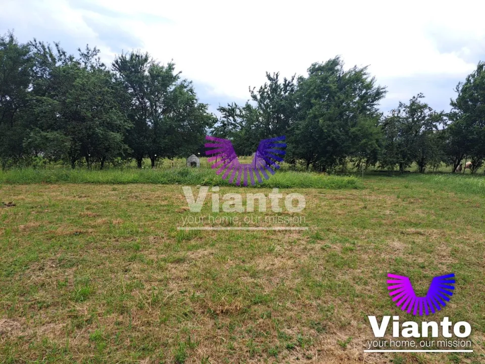 Teren intravilat| Zona rezidentila 1156 mp-TURNISOR