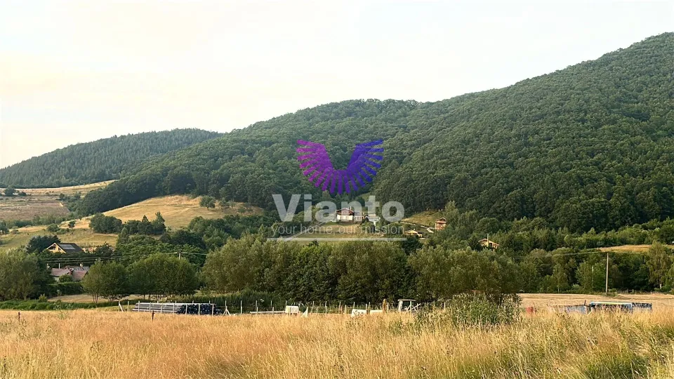 Investment Land Opportunity 3408 sqm in Gura Răului