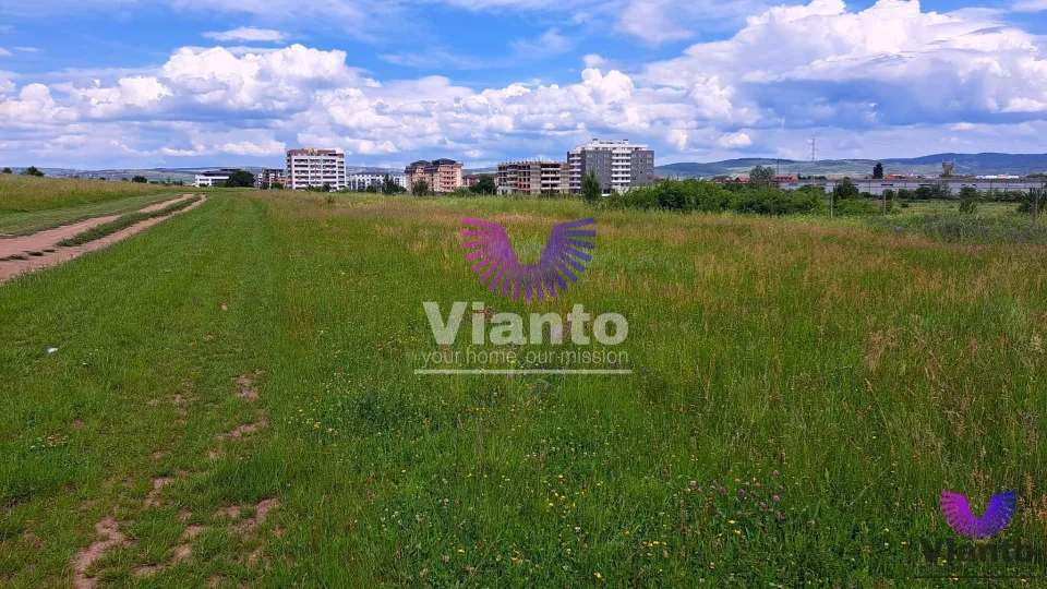 Bauland 2000 m² - Turnișor (Möglichkeit 5000 m²)