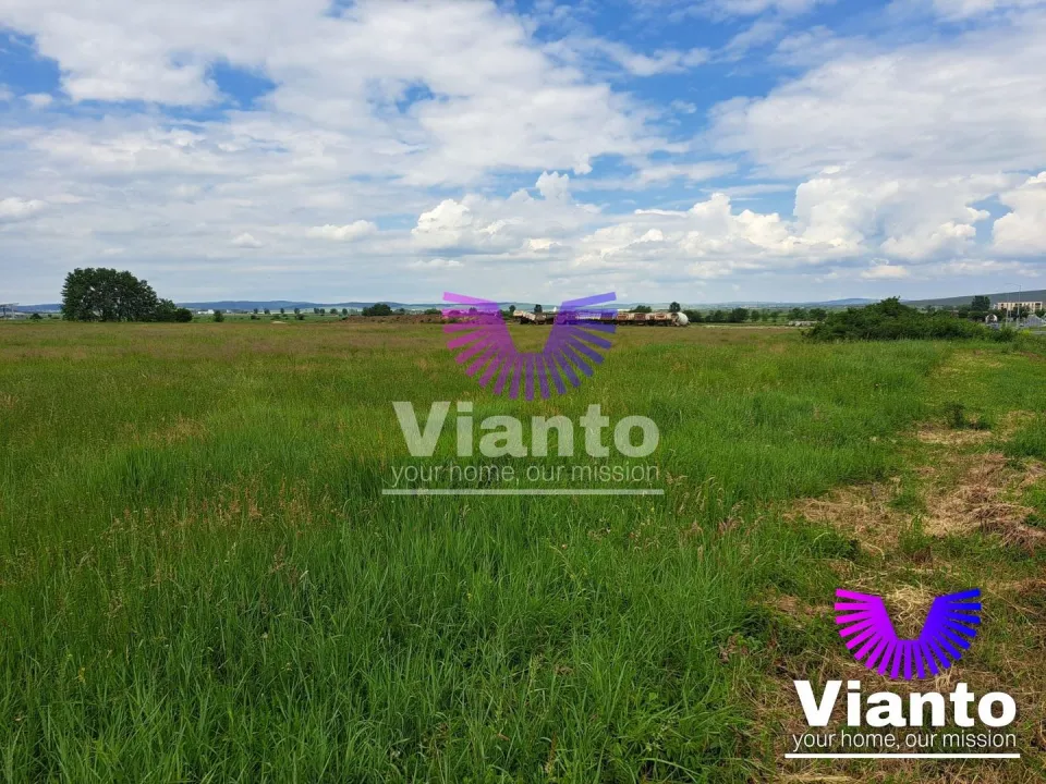 Investment opportunity Building plot 9000sqm - Turnișor