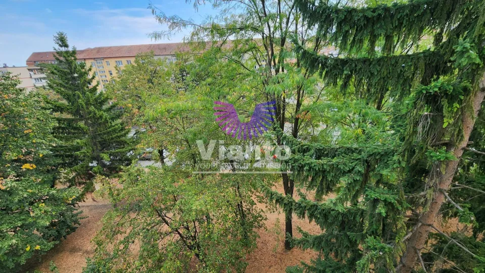 Apartament 2 camere de vanzare / Cedonia 48m2