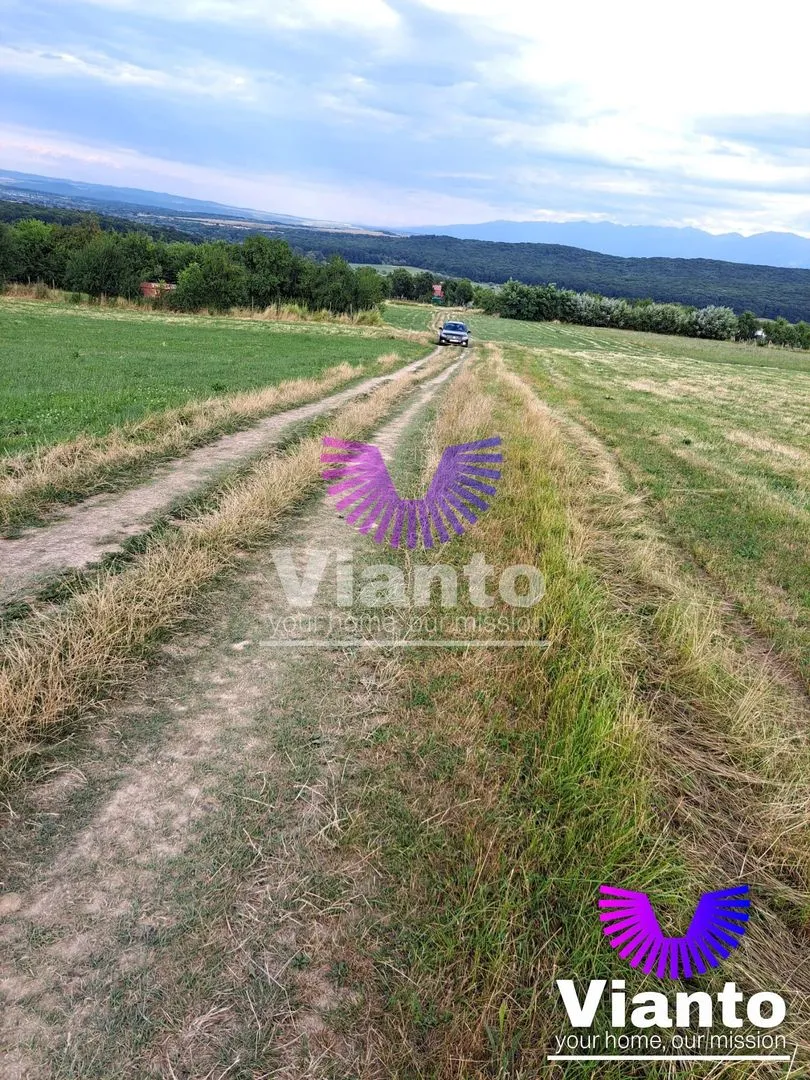 Gelegenheit - Außenbereichsfläche 3100 m² mit Panoramablick - Tropinii Noi - Rășinari
