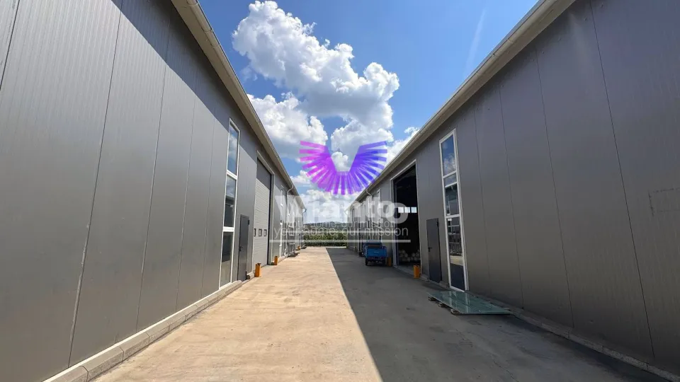 Industriehalle 600 m² und freier Hof 700 m², - Parcul Industrial Sura Mare