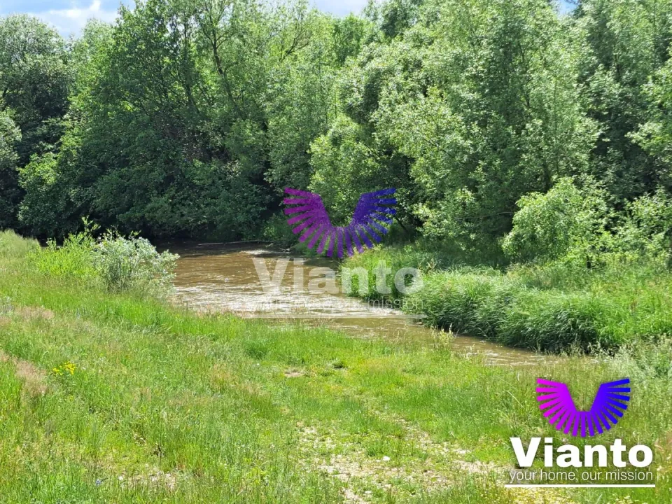 Gelegenheit Außenbereichsfläche 1010 m² - Turnișor