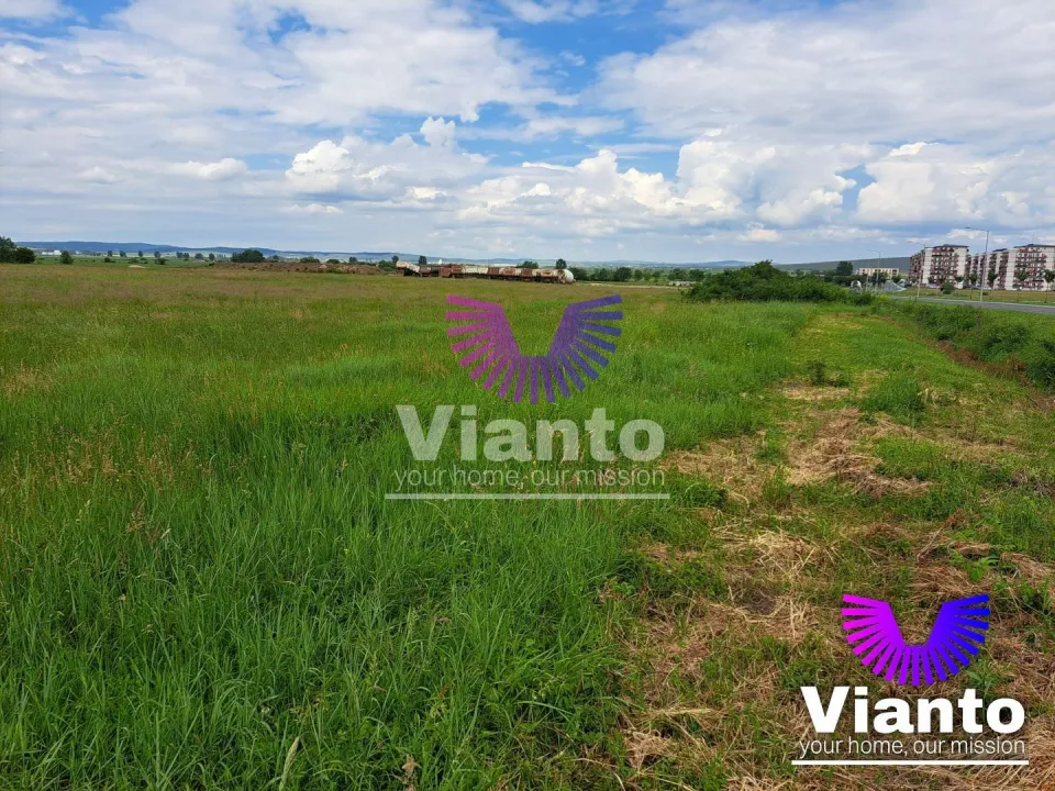 Investment opportunity Building plot 9000sqm - Turnișor