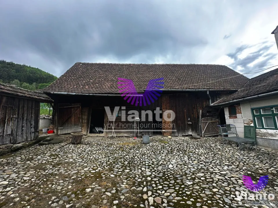 Einfamilienhaus 3 Zimmer mit Grundstück 1100 m² - Fantanele