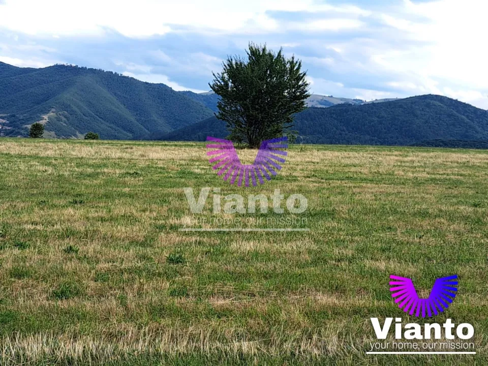 Gelegenheit - Außenbereichsfläche 3100 m² mit Panoramablick - Tropinii Noi - Rășinari