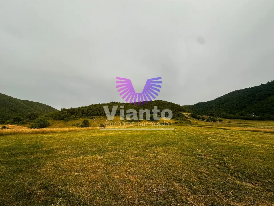 Investment Land Opportunity 3408 sqm in Gura Răului