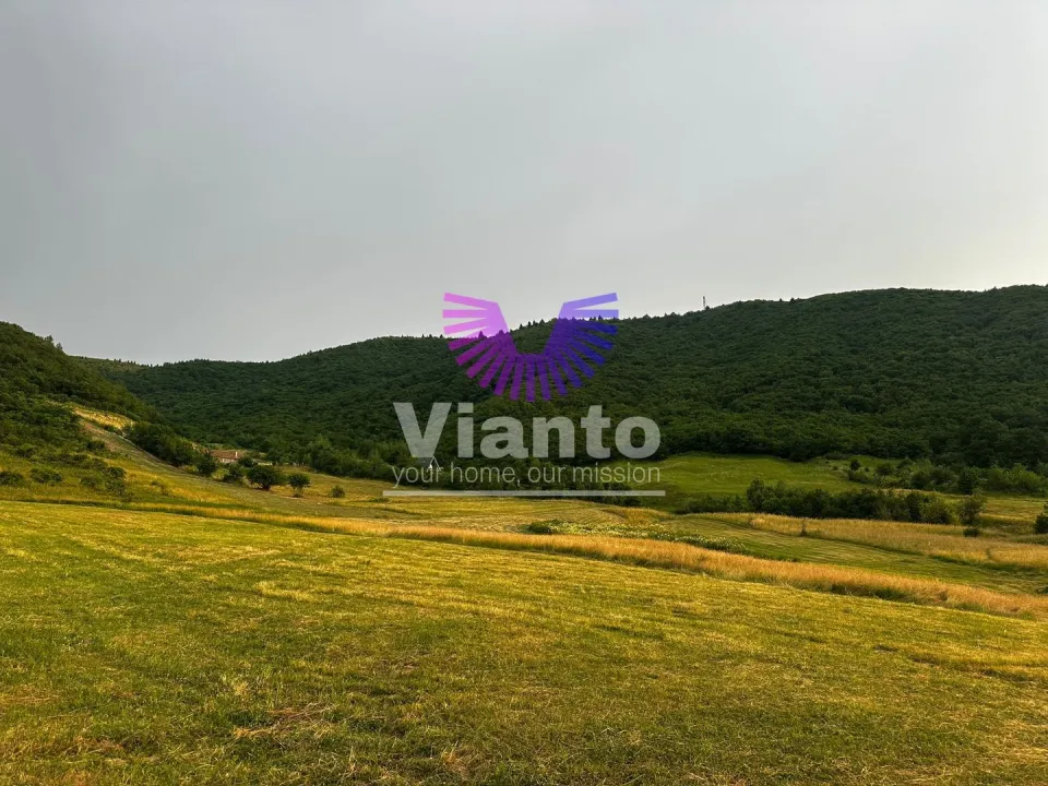 Investment Land Opportunity 3408 sqm in Gura Răului