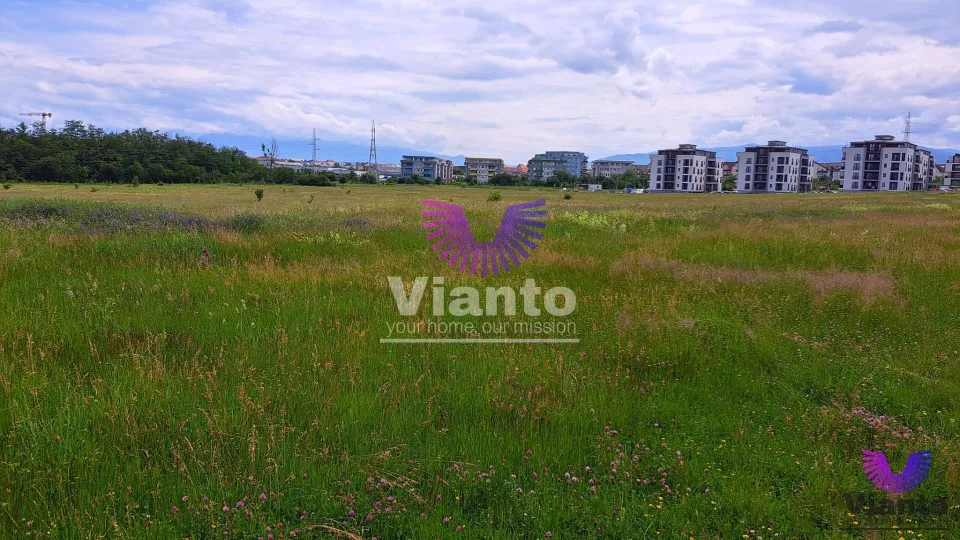 Bauland 2000 m² - Turnișor (Möglichkeit 5000 m²)