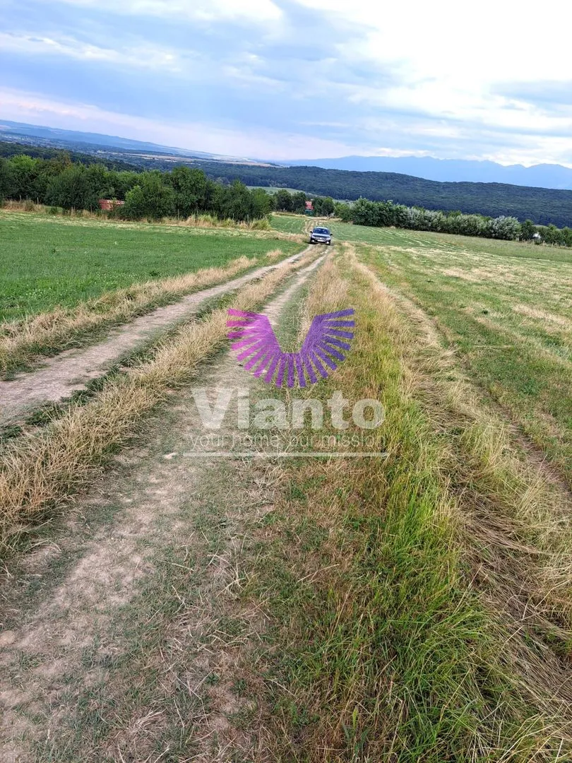 Gelegenheit - Außenbereichsfläche 6200 m² mit Panoramablick - Tropinii Noi - Rășinari