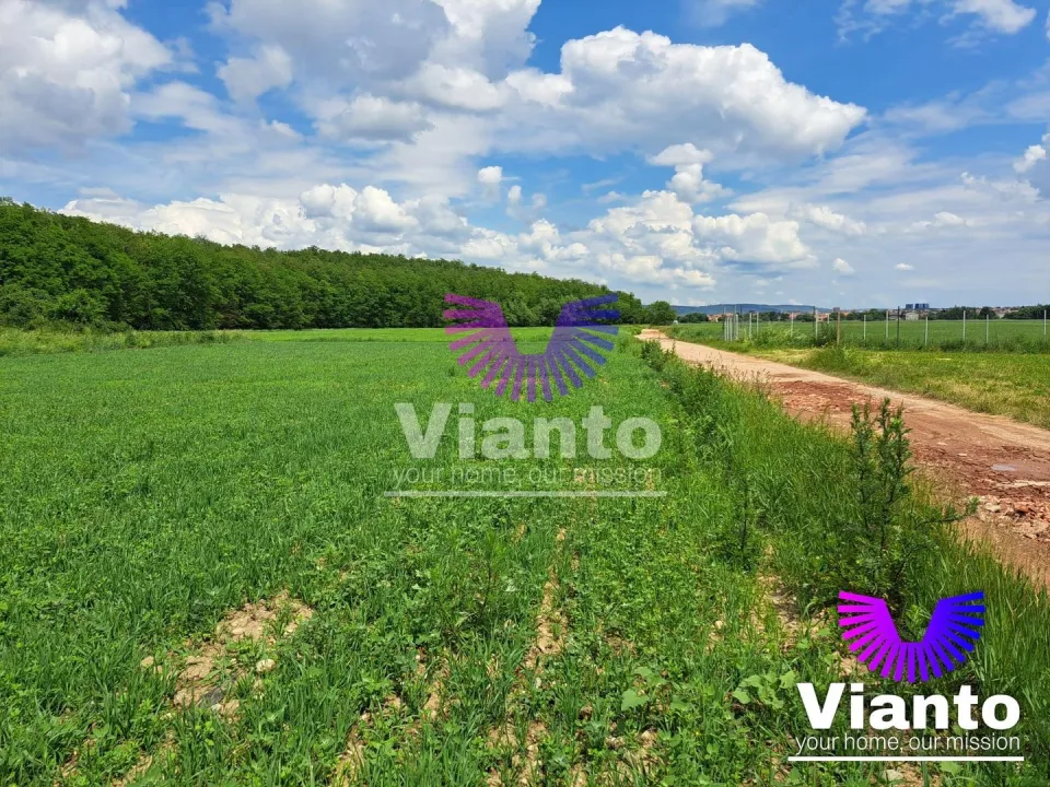Oportunitate Teren Extravilan 1010mp - Turnisor